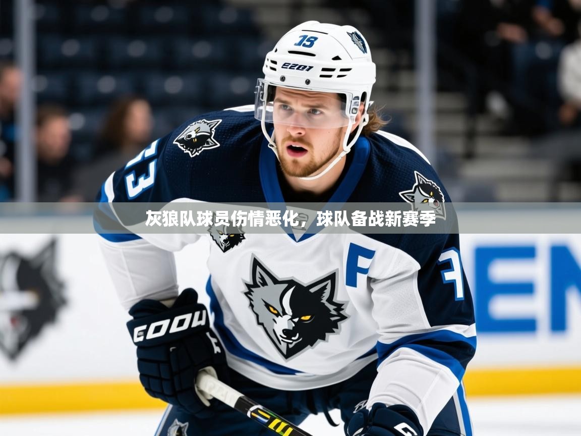 2025爱游戏体育注册活动灰狼队球员伤情恶化,球队备战新赛季  第3张