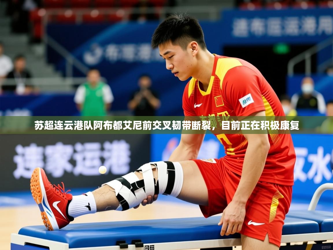 2025爱游戏体育登录口网页版苏超连云港队阿布都艾尼前交叉韧带断裂，目前正在积极康复  第1张