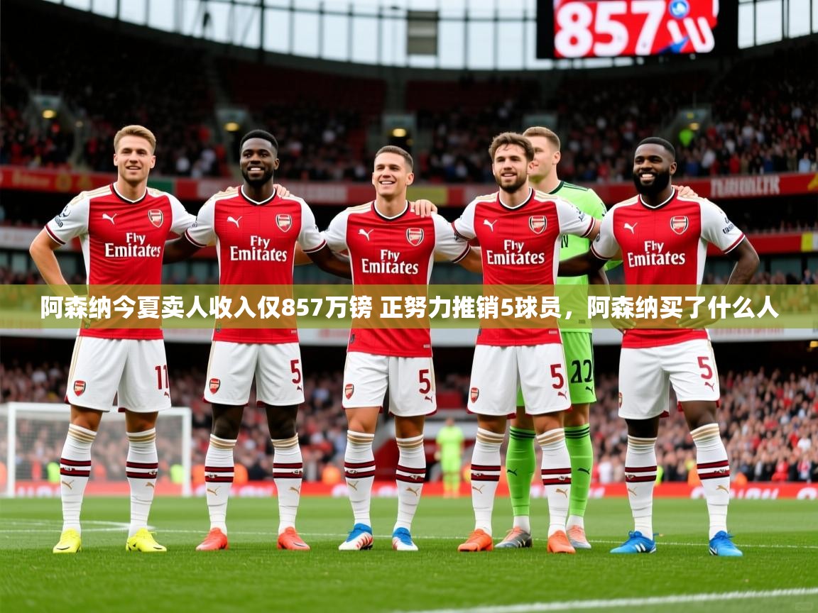 2025爱游戏ayx体育官方入口阿森纳今夏卖人收入仅857万镑 正努力推销5球员，阿森纳买了什么人  第1张