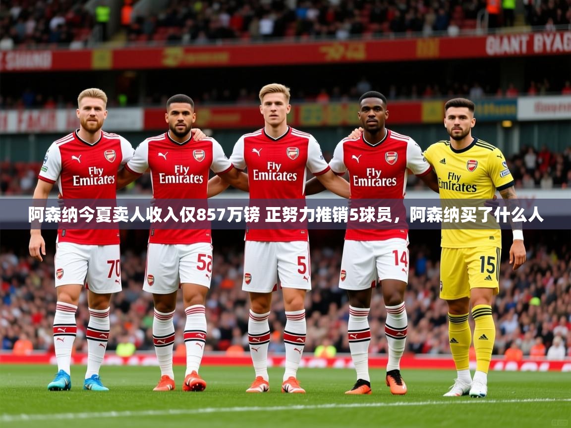 2025爱游戏ayx体育官方入口阿森纳今夏卖人收入仅857万镑 正努力推销5球员，阿森纳买了什么人  第3张