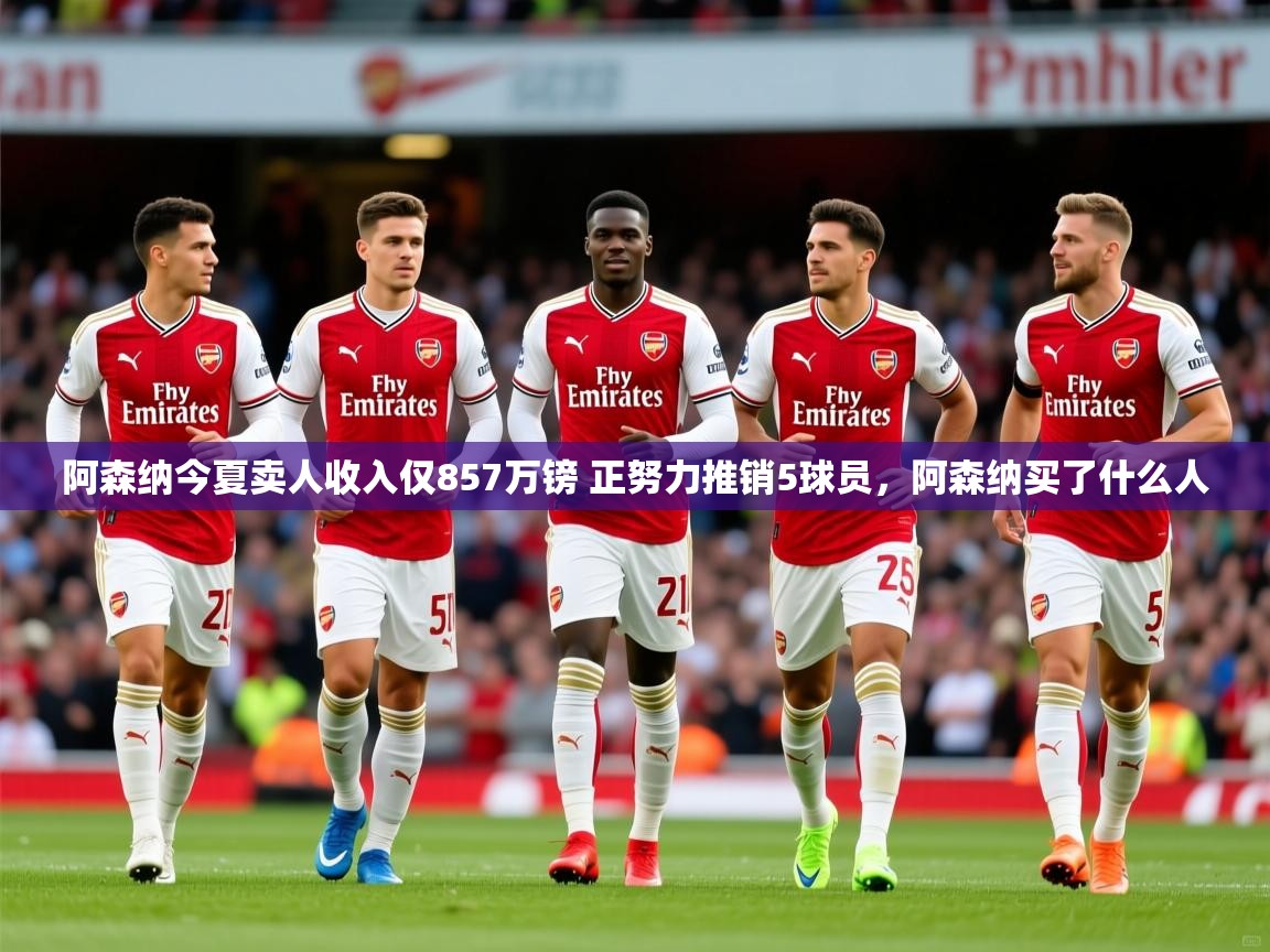 2025爱游戏ayx体育官方入口阿森纳今夏卖人收入仅857万镑 正努力推销5球员，阿森纳买了什么人  第4张