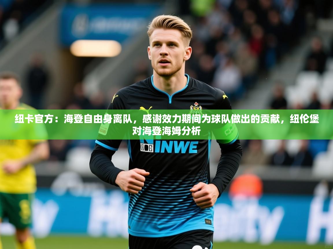 2025爱游戏体育平台门兴赞助商纽卡官方:海登自由身离队,感谢效力期间为球队做出的贡献,纽伦堡对海登海姆分析 第1张