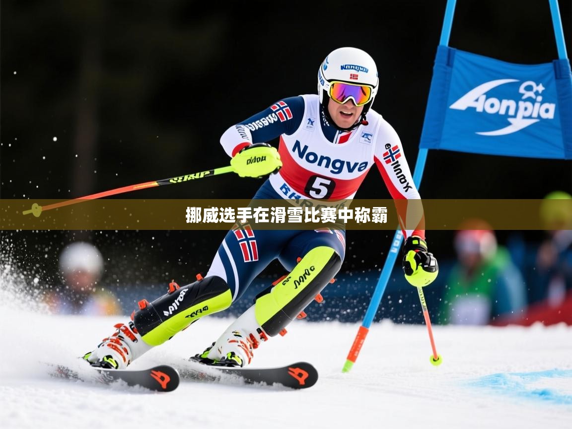 2026爱游戏体育app官网入口挪威选手在滑雪比赛中称霸  第2张