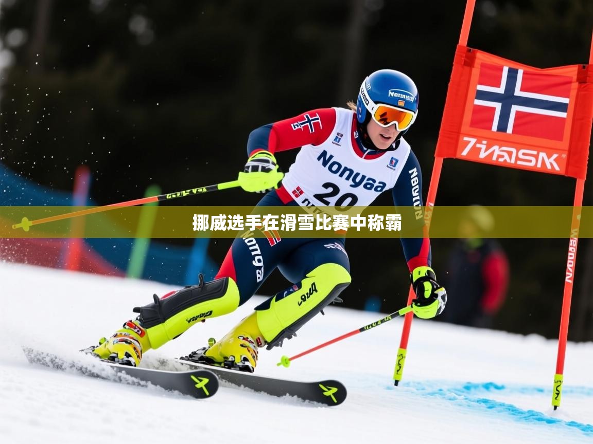 2026爱游戏体育app官网入口挪威选手在滑雪比赛中称霸  第4张